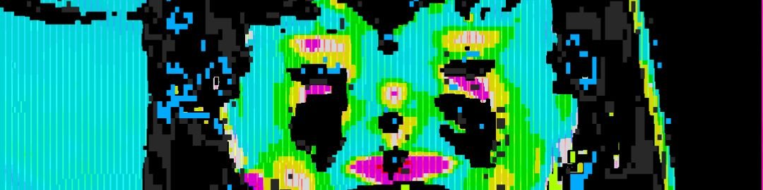 409_loops_sitio